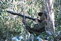 Gouvernement soldier